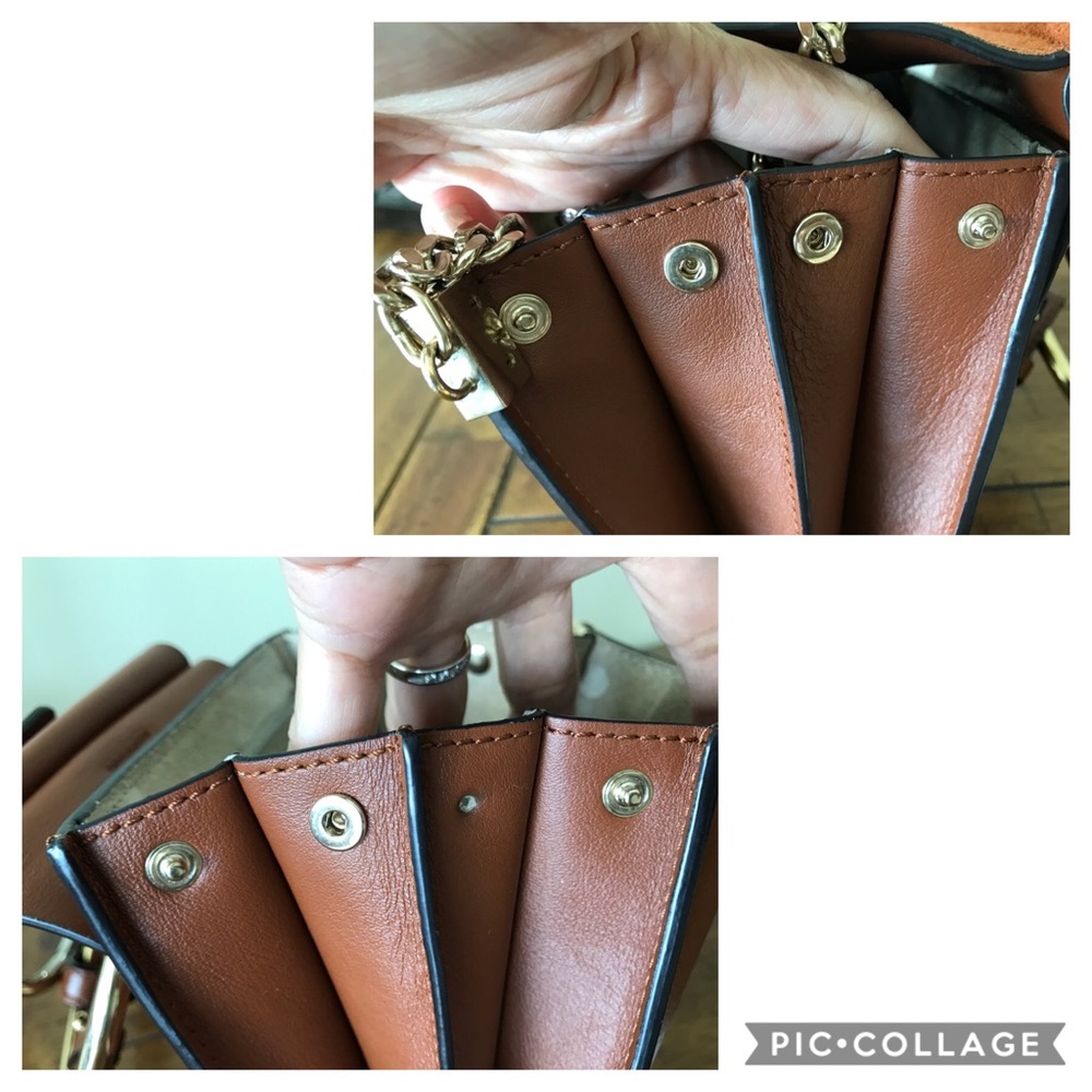 Chloe - Picture 7 of 8